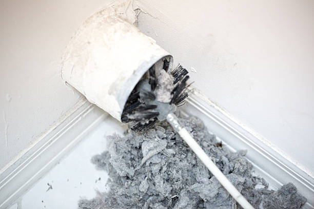 Best Residential Air Duct Cleaning in White City, FL